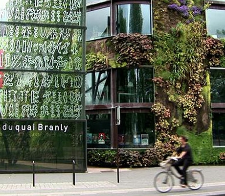 Biophilic Design