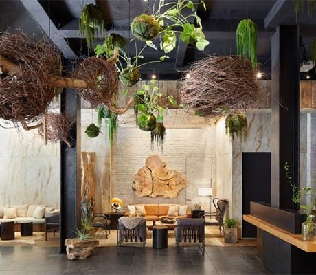 Benefits of Plants Beyond Visual Appeal